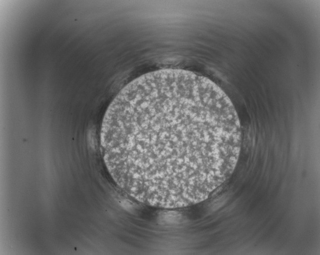 X0000066520287200604141822