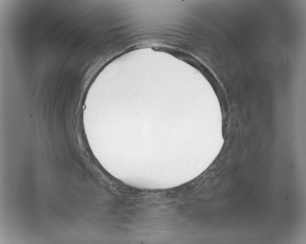 X0000066520289200604141821