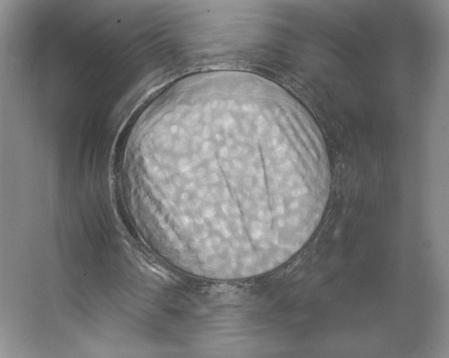 X0000066520290200604141821