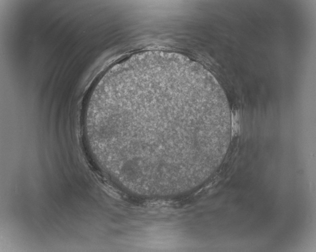 X0000066520291200604141821