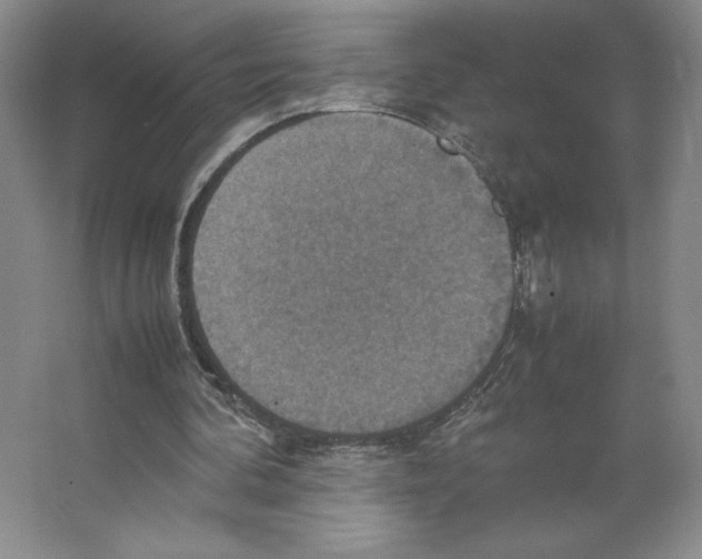 X0000066520292200604141821