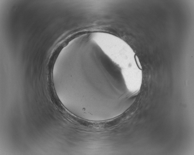 X0000066520295200604141821