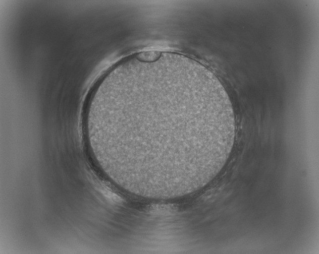 X0000066520296200604141821