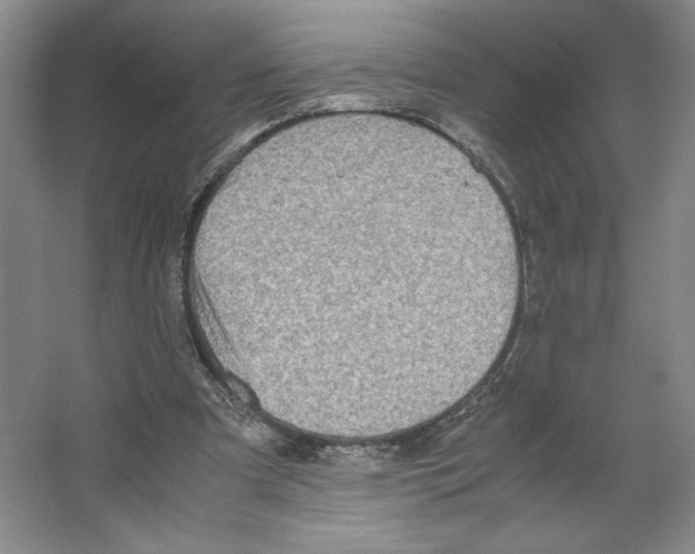 X0000066520297200604141821