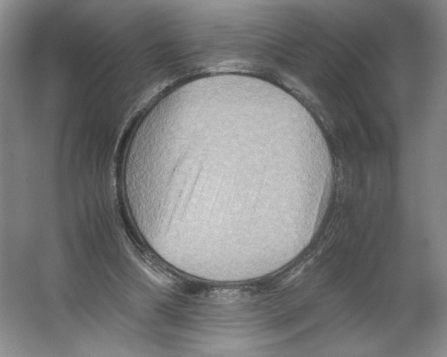 X0000066520298200604141821