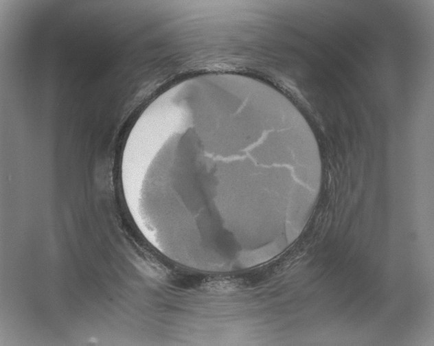 X0000066520299200604141821