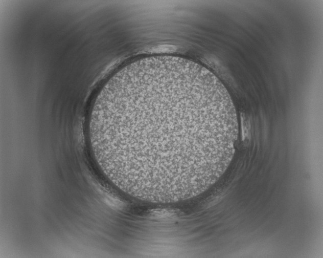 X0000066520300200604141821