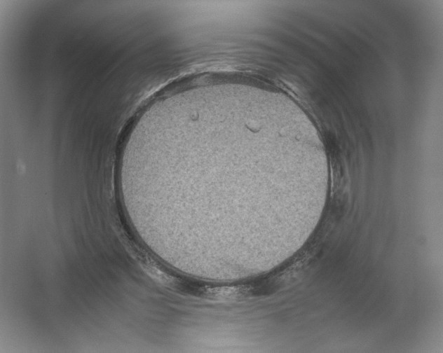 X0000066520301200604141821