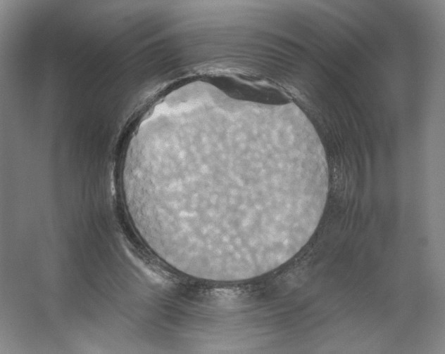 X0000066520302200604141821