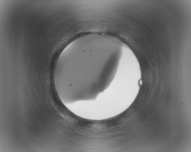 X0000066520303200604141821