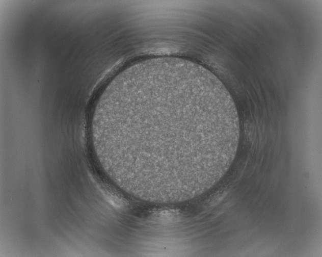 X0000066520304200604141821