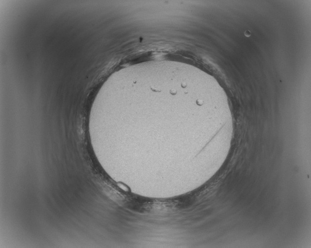 X0000066520305200604141821