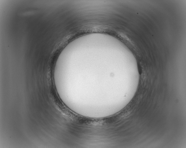 X0000066520306200604141821