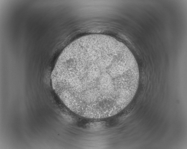 X0000066520307200604141821