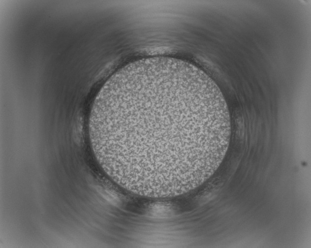 X0000066520308200604141821