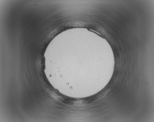 X0000066520309200604141821