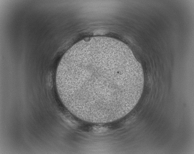 X0000066520311200604141821