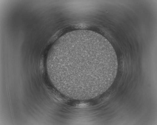 X0000066520312200604141821