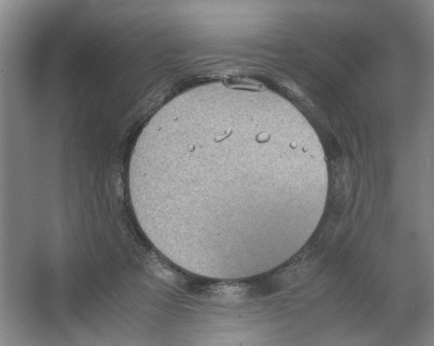 X0000066520313200604141821