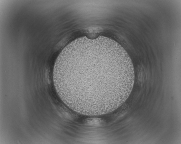 X0000066520316200604141820