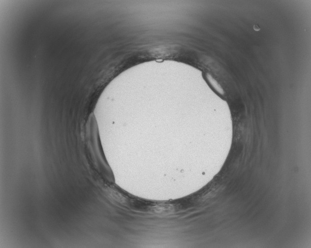 X0000066520317200604141820