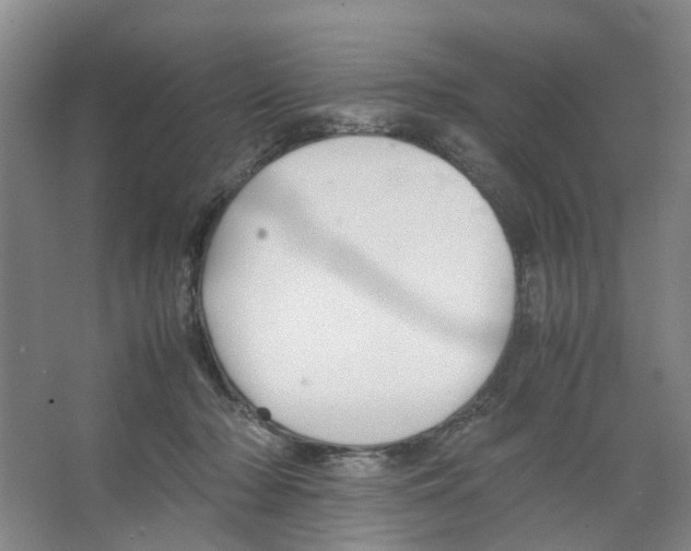 X0000066520318200604141820