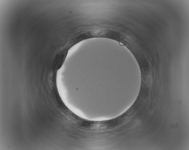 X0000066520319200604141820