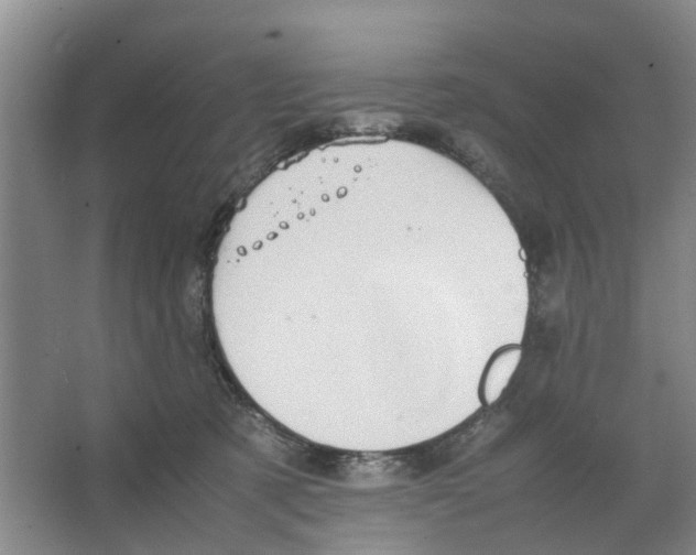 X0000066520321200604141820