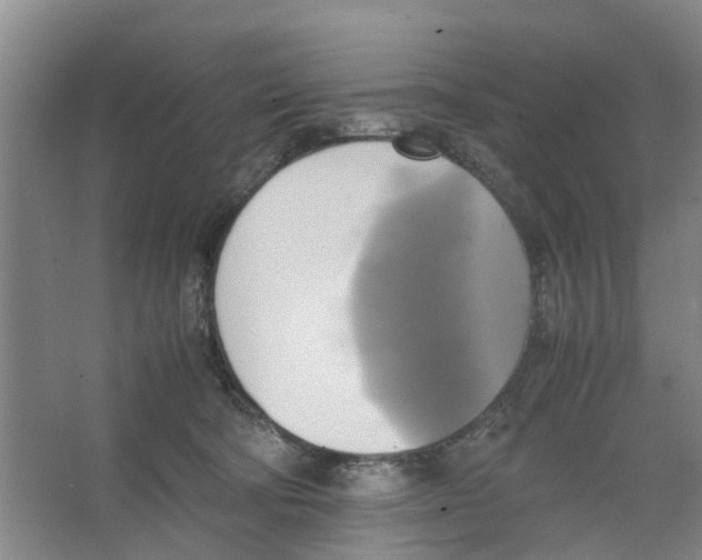 X0000066520322200604141820