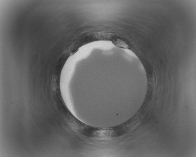 X0000066520323200604141820