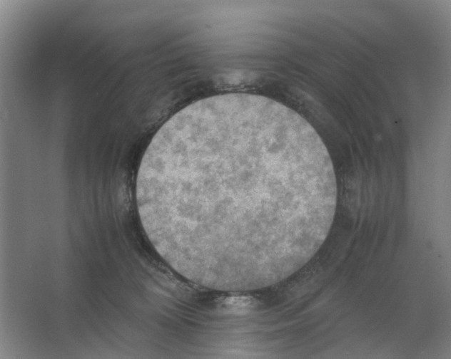 X0000066520324200604141820