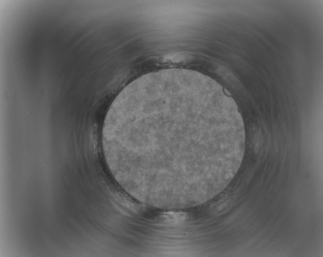 X0000066520328200604141820