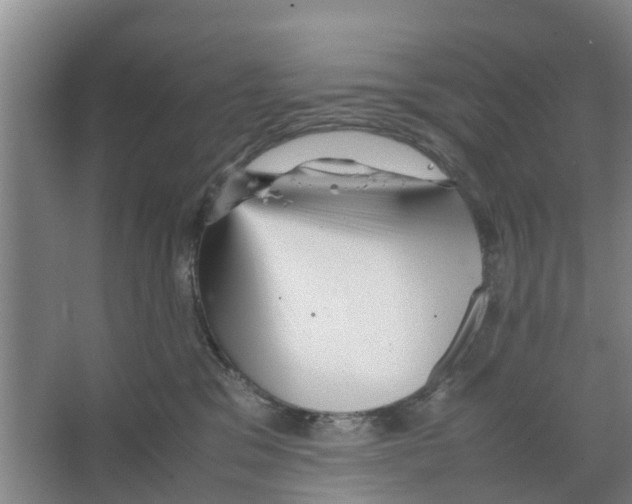 X0000066520329200604141820