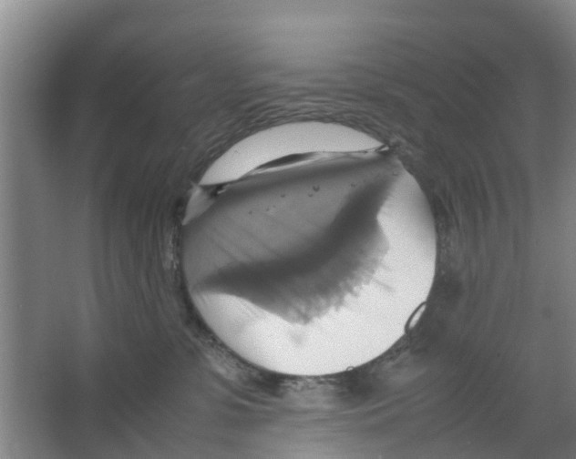 X0000066520331200604141820