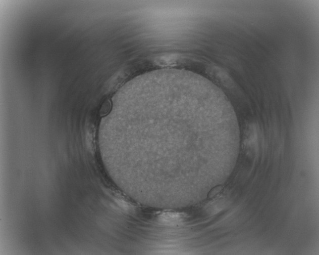 X0000066520332200604141820