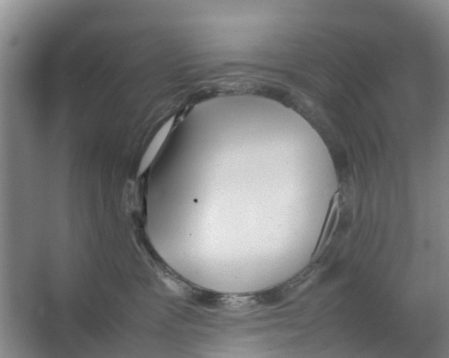 X0000066520333200604141820