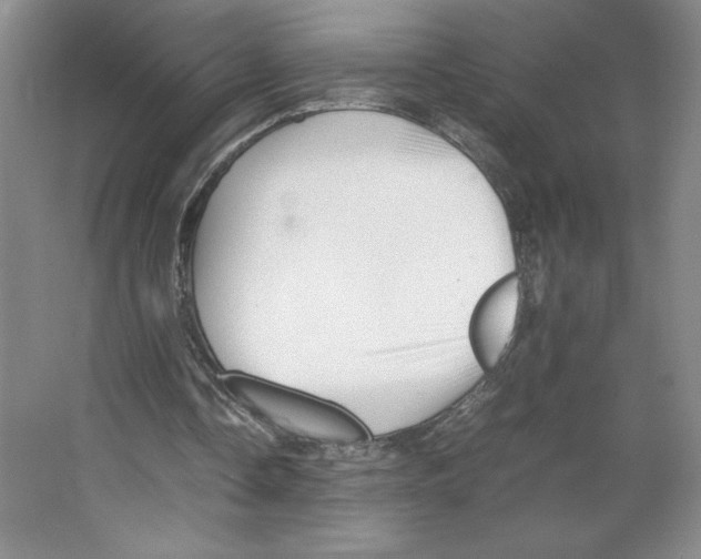 X0000066520338200604141819