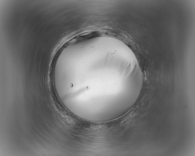 X0000066520340200604141819