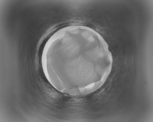 X0000066520343200604141819