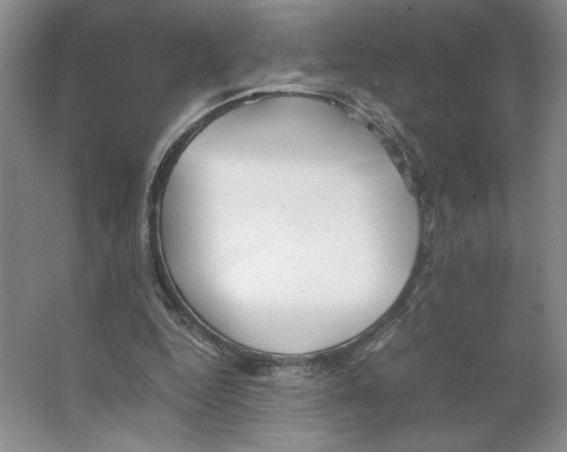 X0000066520344200604141819