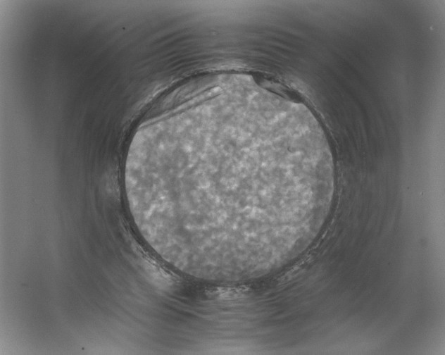 X0000066520345200604141819