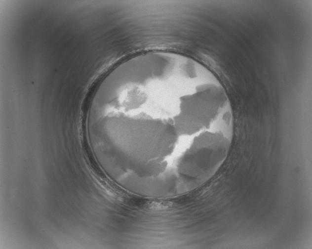 X0000066520346200604141820