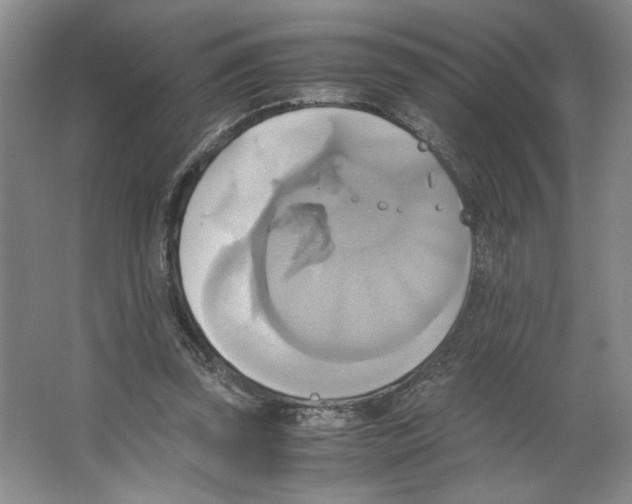 X0000066520347200604141820