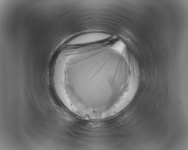 X0000066520351200604141820