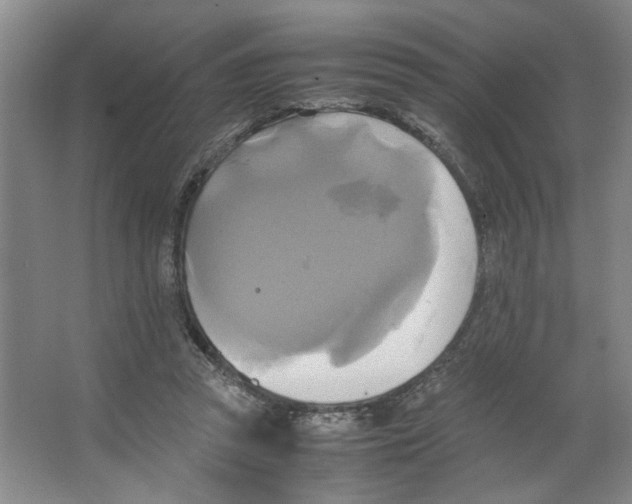 X0000066520353200604141820