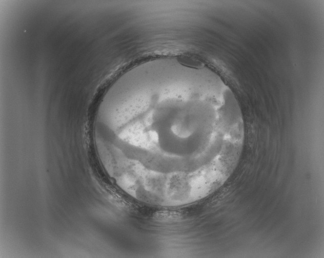 X0000066520354200604141820