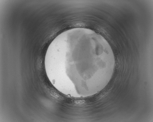 X0000066520355200604141820