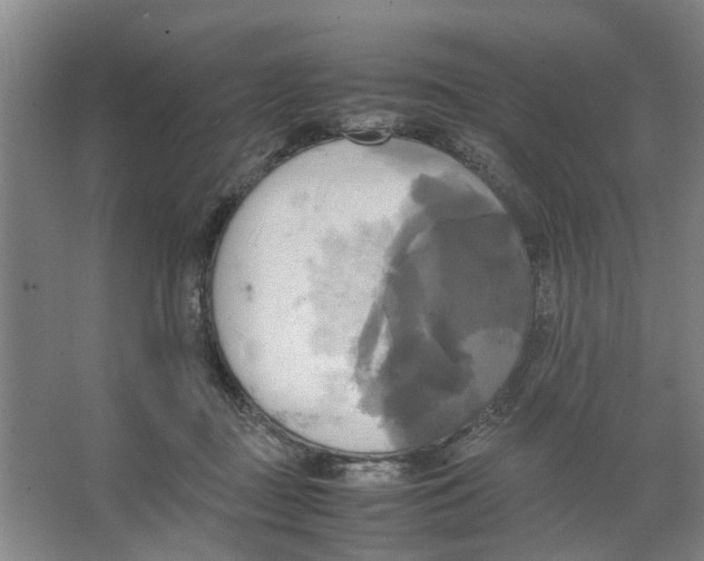 X0000066520363200604141820