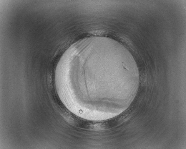 X0000066520365200604141820