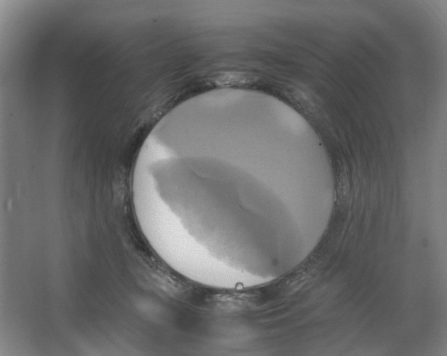 X0000066520367200604141820